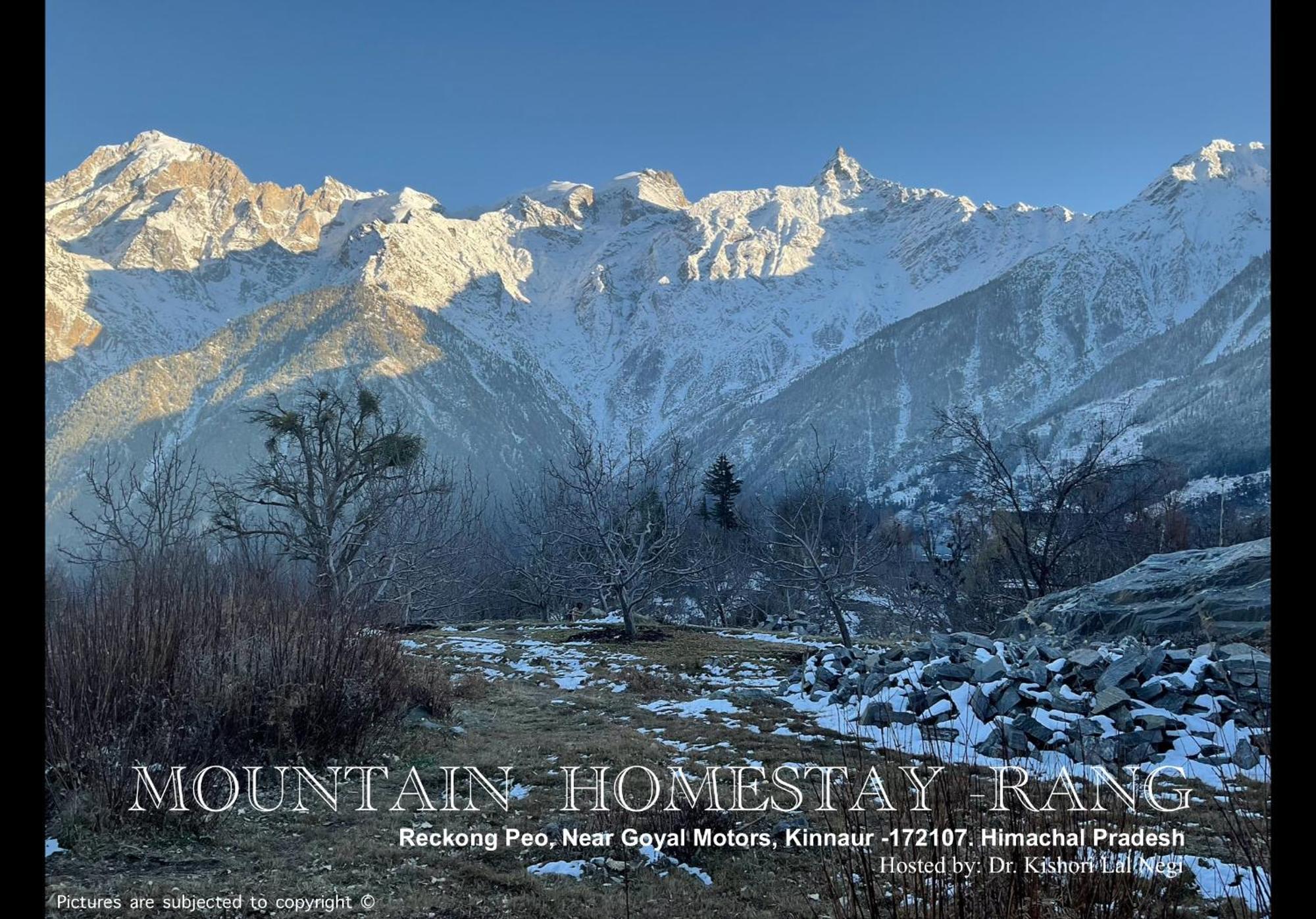 Mountain Home Stay -Rang, At Reckong Peo - Kalpa, Near Goyal Motors, Way To Petrol Pump At Itbp Quarters Exteriör bild